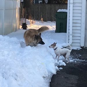 Meet your Posher, Kelly